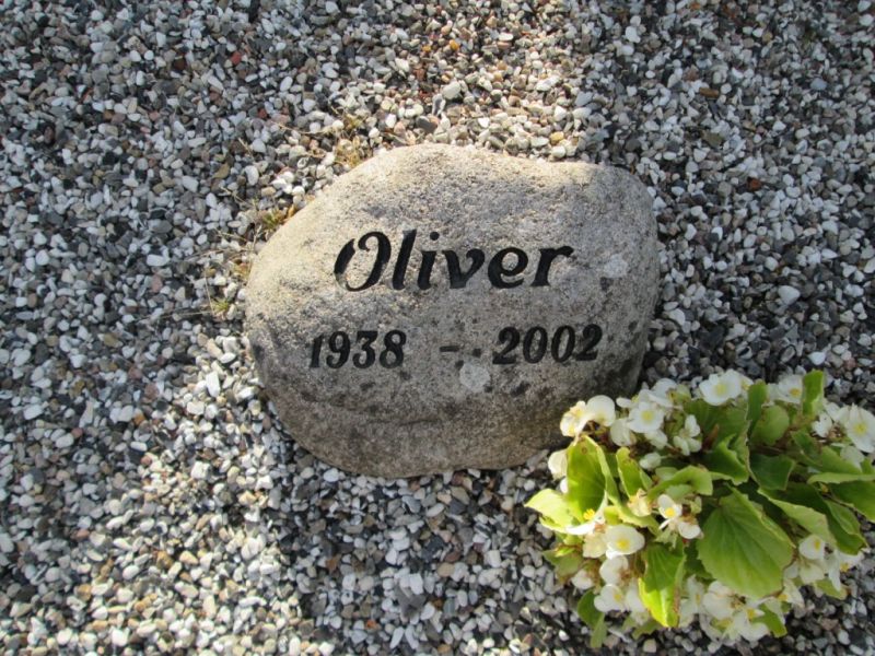 Oliver .JPG